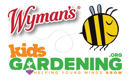 Celebrate National Pollinator Month by Learning with KidsGardening.org