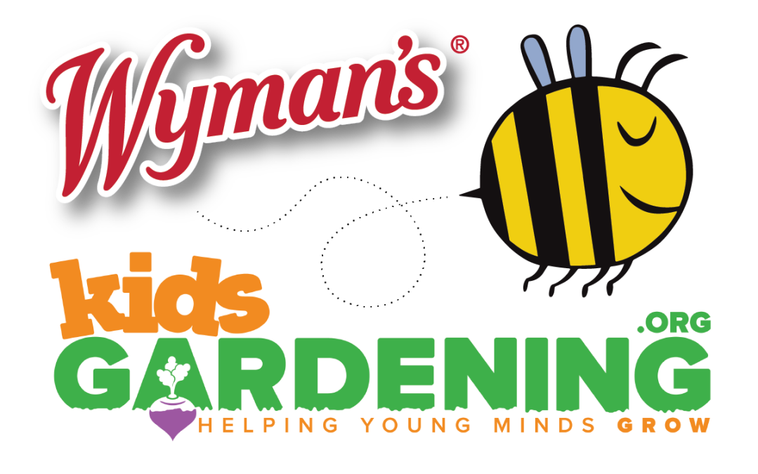 Celebrate National Pollinator Month by Learning with KidsGardening.org