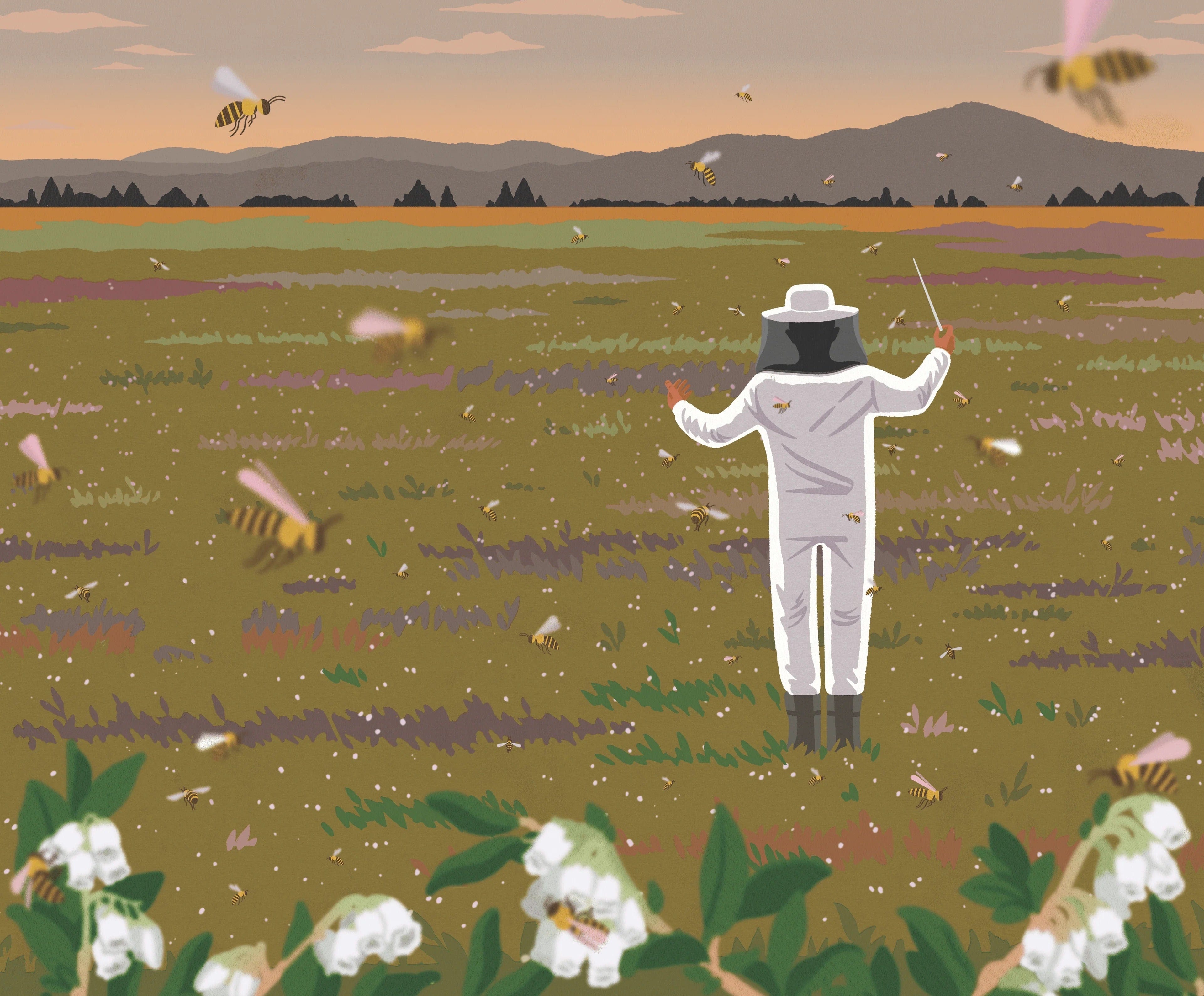 Illustration of a person in a beekeeper suit surrounded by bees and flowers in a field.