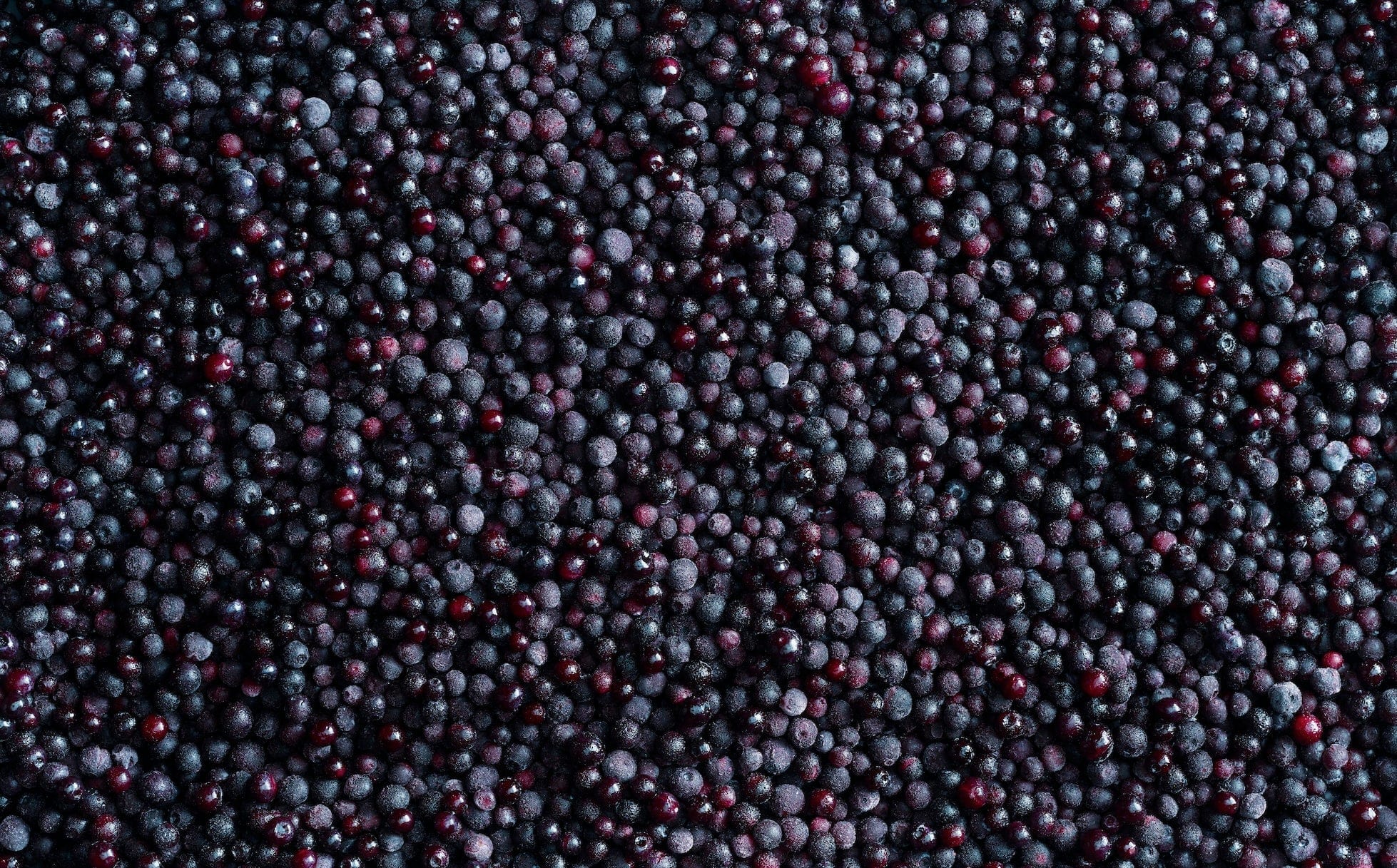 A close up of a bunch of blackberries.