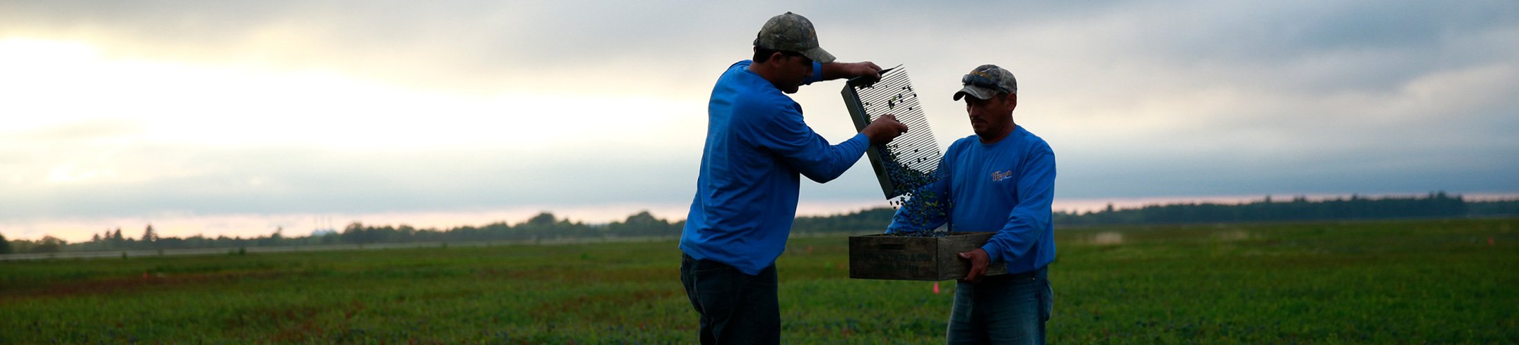 Two men standing in a field with a knife.