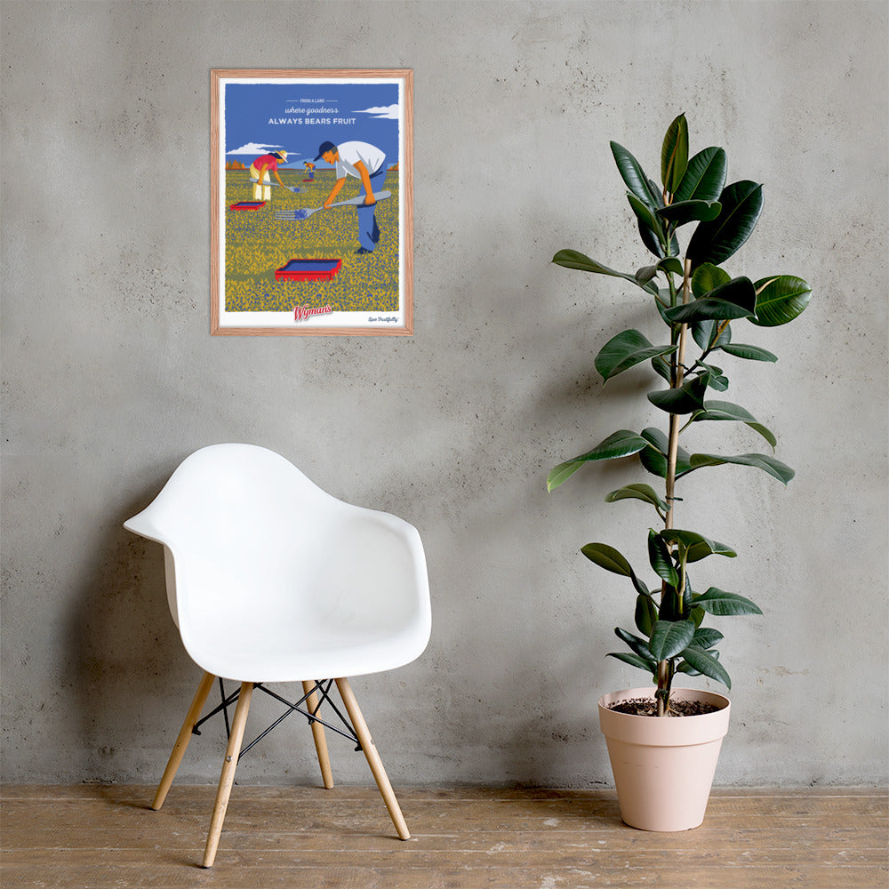 A From a Land Where Goodness Always Bears Fruit Poster with a picture of a man in a field next to a chair, freshly printing images of blueberries from Shop Wyman's.
