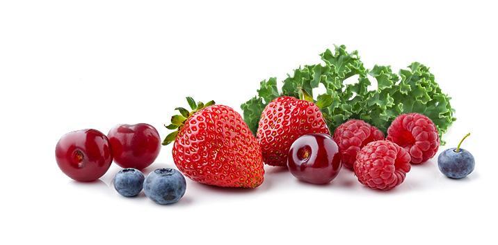 Cherry Berry & Kale, wild blueberries, and kale on a white background by PSS.