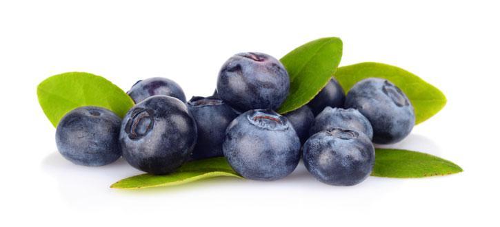 A bunch of Shop Wyman's Wild Blueberries on a white background.