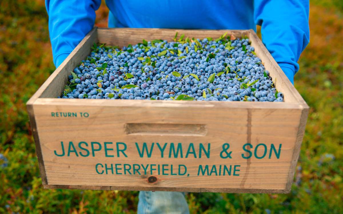 Born to be Wild: New Products and Promotion Get Maine Wild Blueberry Industry Back on Track
