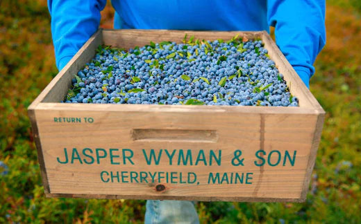 Maine Blueberries