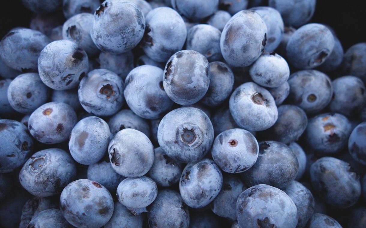 Wyman’s Expands Wild Blueberry Supply Through Acquisition