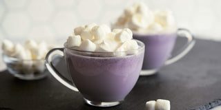 Wild Blueberry White Hot Chocolate