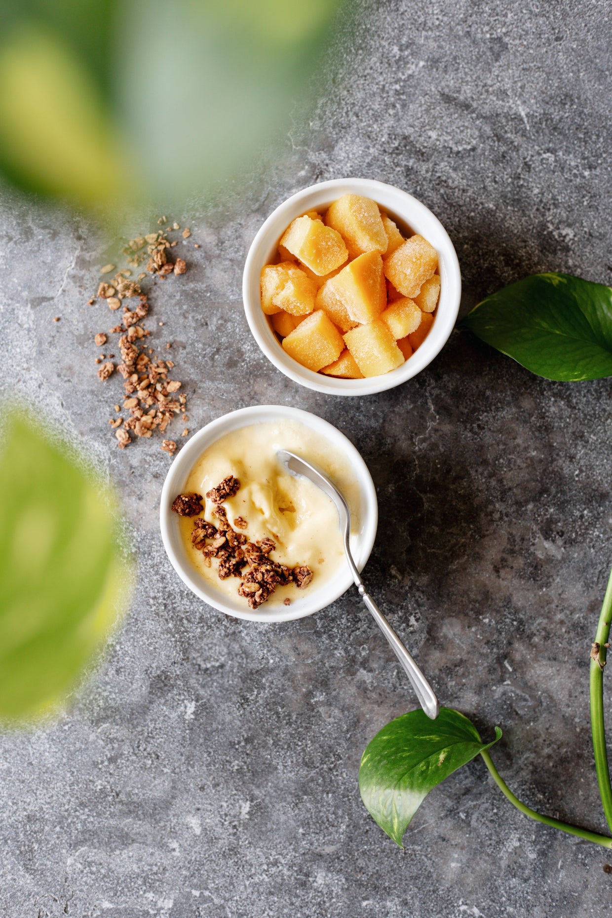 Mango Frozen Yogurt