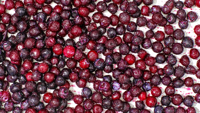 What Makes Wild Blueberries…Wild?