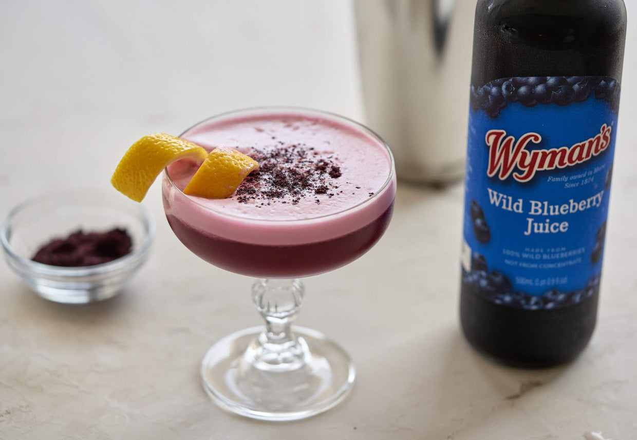 Wild Blueberry Vodka Sour