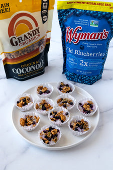 Wild Blueberry Coconola Frozen Yogurt Bites