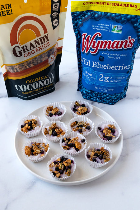 Wild Blueberry Coconola Frozen Yogurt Bites