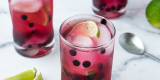Wild Blueberry Gin and Tonic
