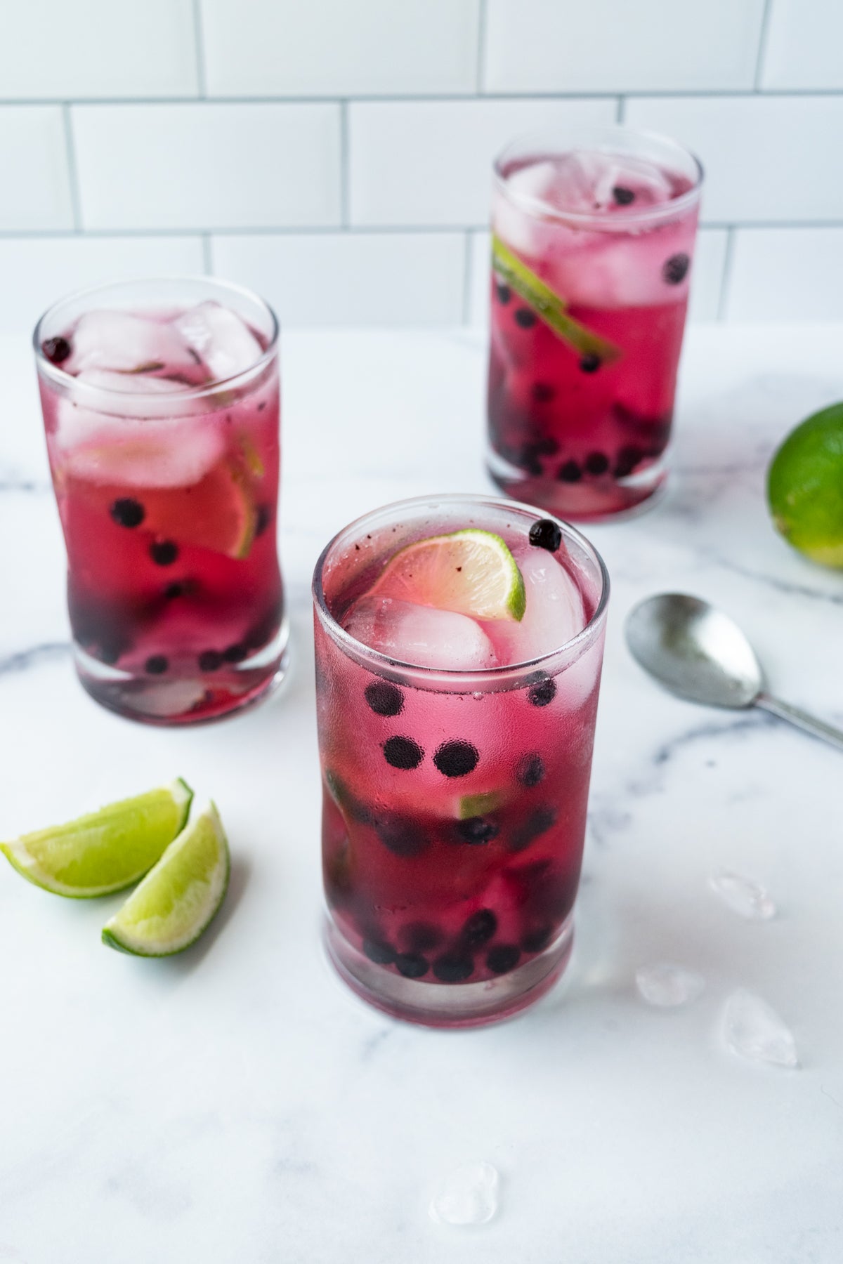 Wild Blueberry Gin and Tonic