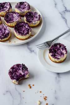 Wild Blueberry Swirl Mini Cheesecakes