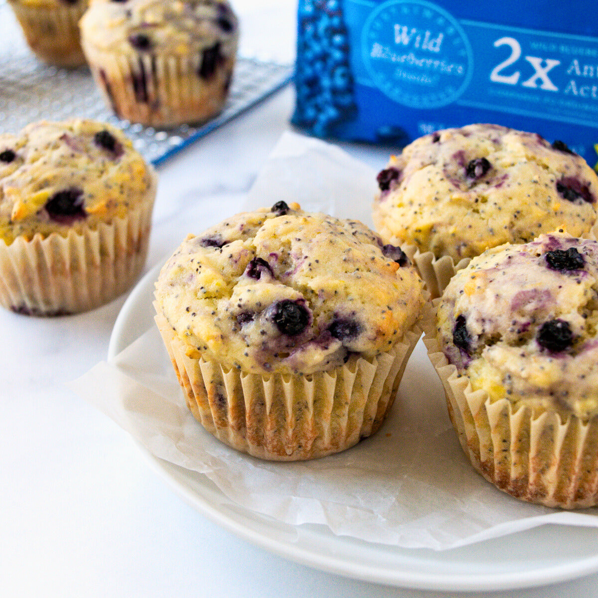 Wild Blueberry Lemon Poppyseed Muffins