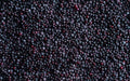 Frozen Fruit