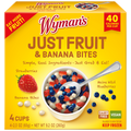 Just Fruit - Wild Blueberries, Strawberries, & Banana Bites