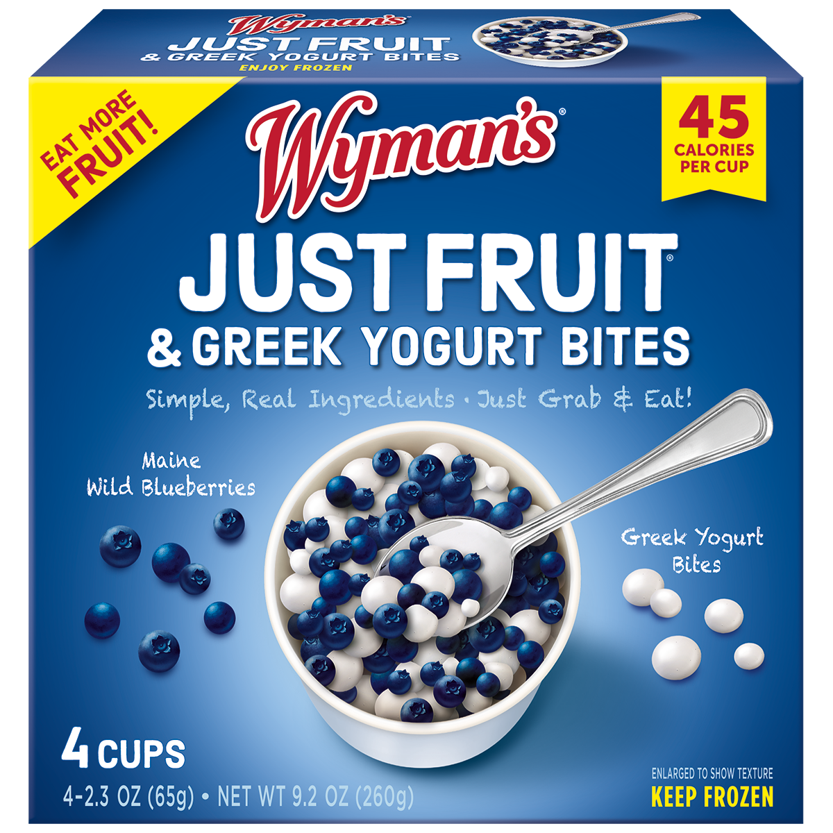 Wyman's Blueberry Just Fruit & Greek Yogurt Bites