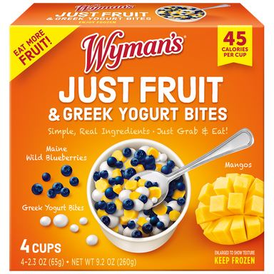 Wyman's Wild Blueberry & Mango Just Fruit & Greek Yogurt Bites
