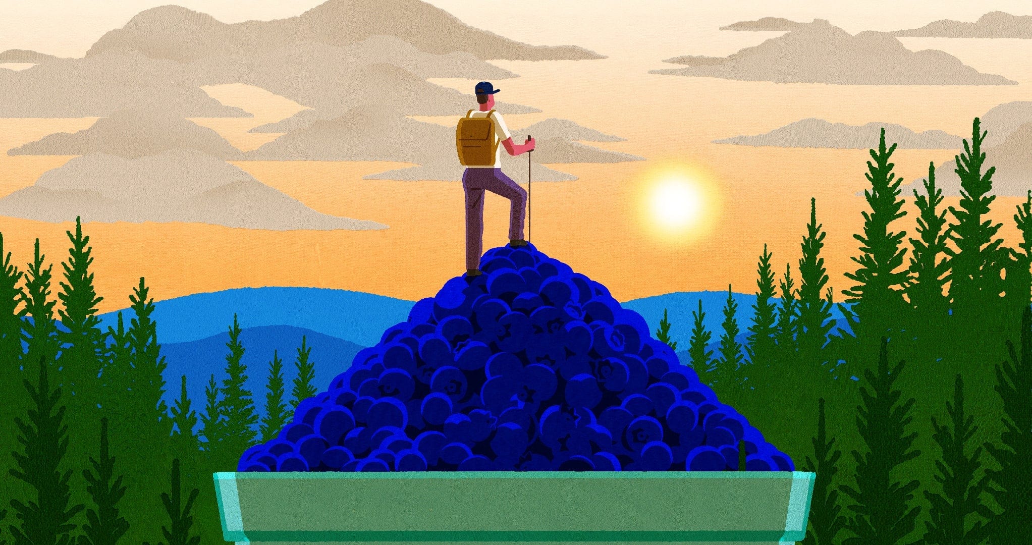 An illustrated person with a backpack stands on top of a large pile of blueberries in a bowl, surrounded by pine trees, with mountains and a sunrise or sunset in the background.