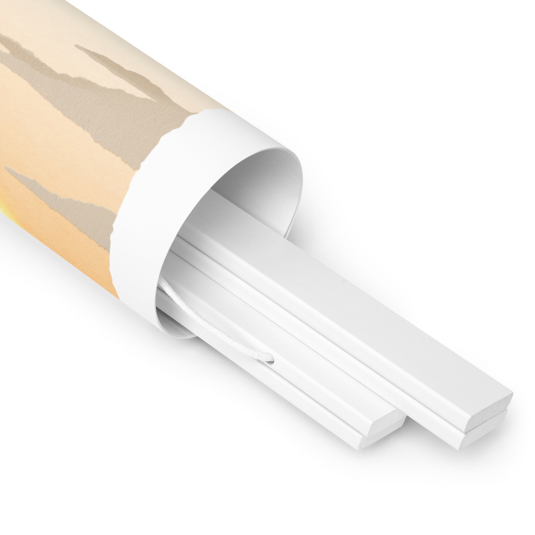 A white tube with a Where Flavor Reaches its Peak Poster from Shop Wyman's in it.