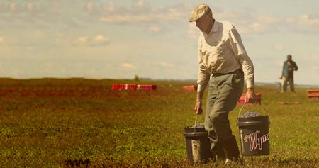 A man carrying buckets in a field.