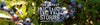 The latest news stories.
