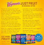 Wyman's Just Fruit - Wild Blueberries, Strawberries, & Banana Bites Back Panel