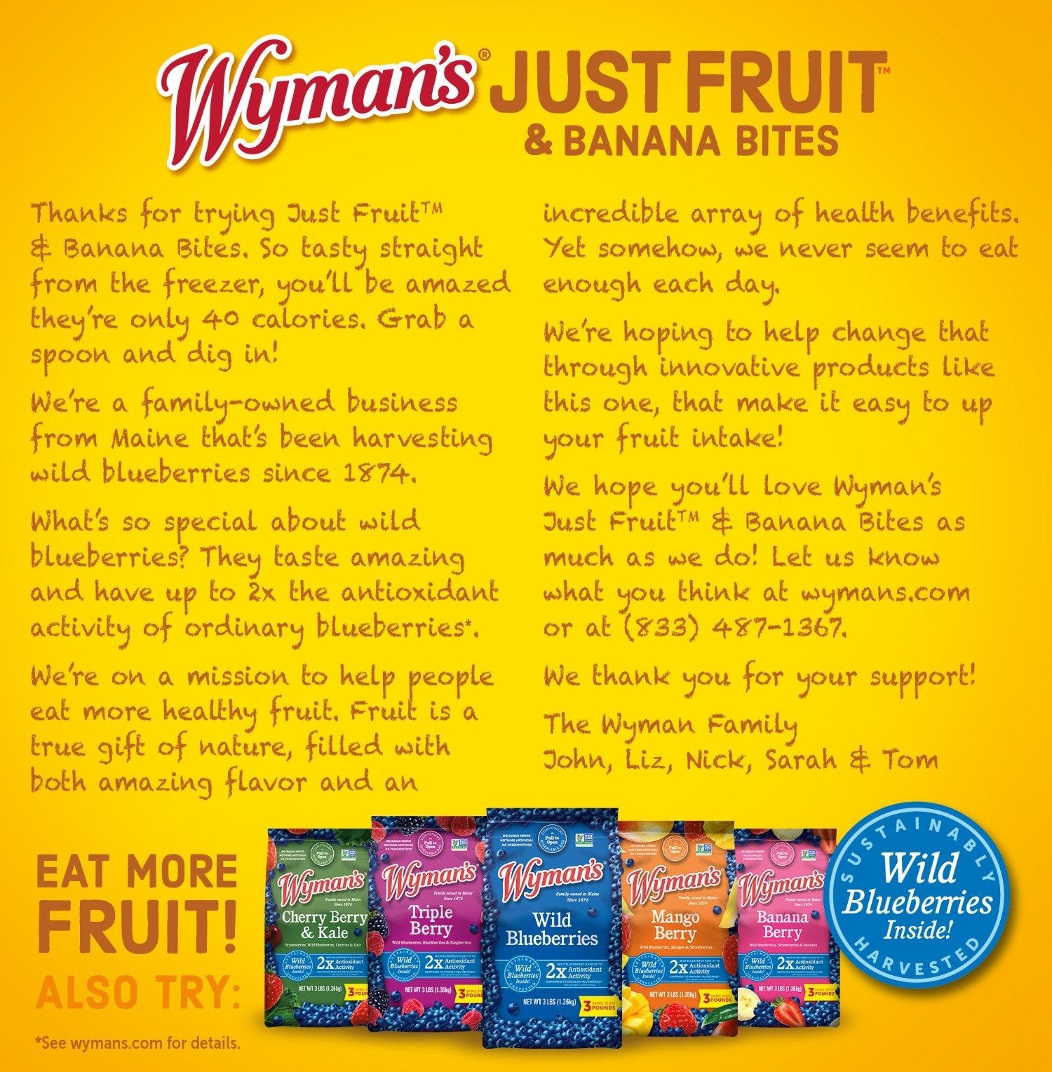 Wyman's Just Fruit - Wild Blueberries, Strawberries, & Banana Bites Back Panel