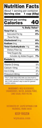 Wyman's Just Fruit - Wild Blueberries, Strawberries, & Banana Bites Nutritional Facts