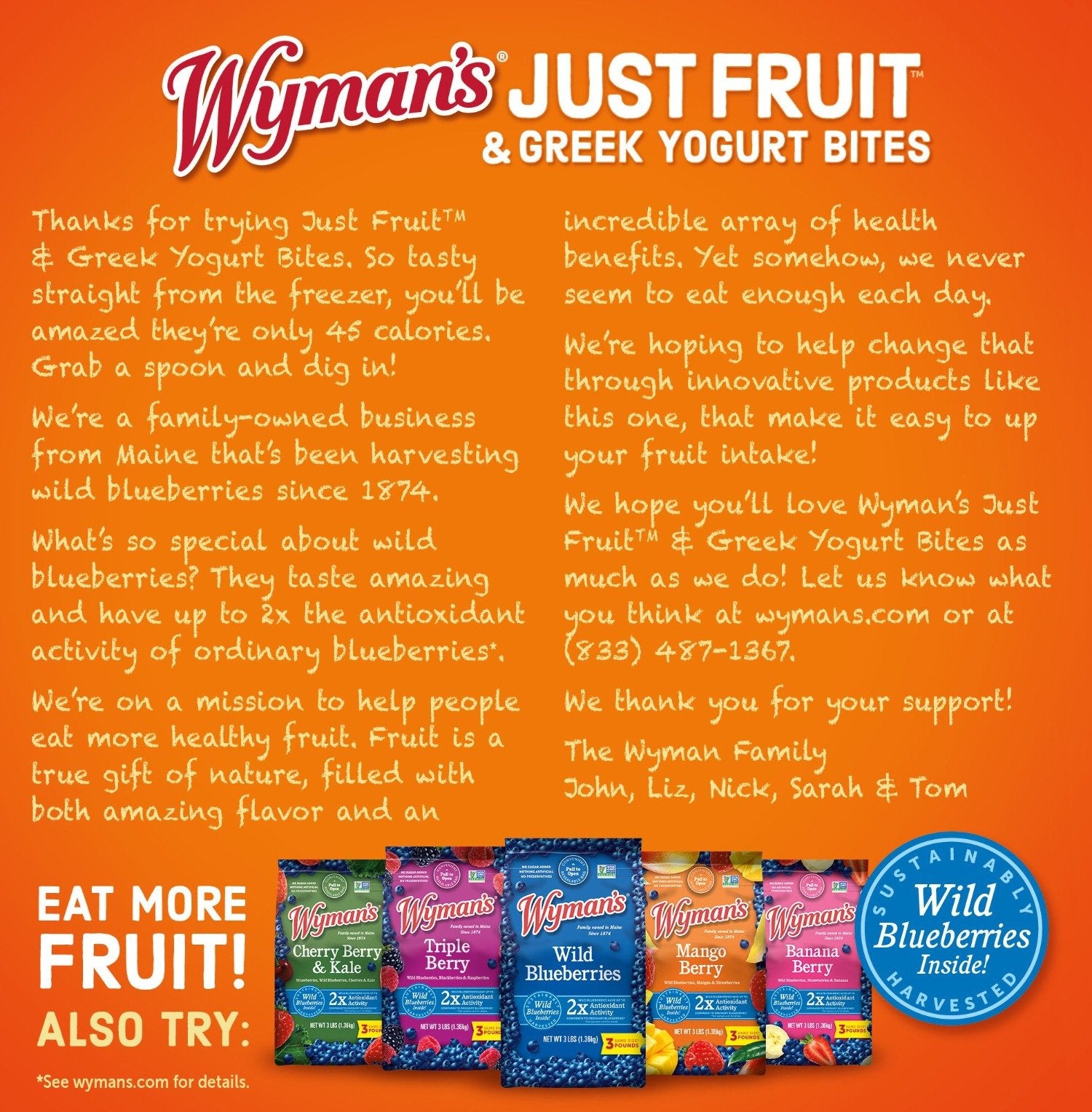 Wyman's Just Fruit – Wild Blueberries & Mangos Back Panel