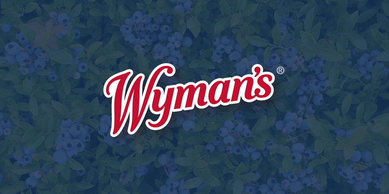 Nothing but Thyme Wild Blueberry Syrup